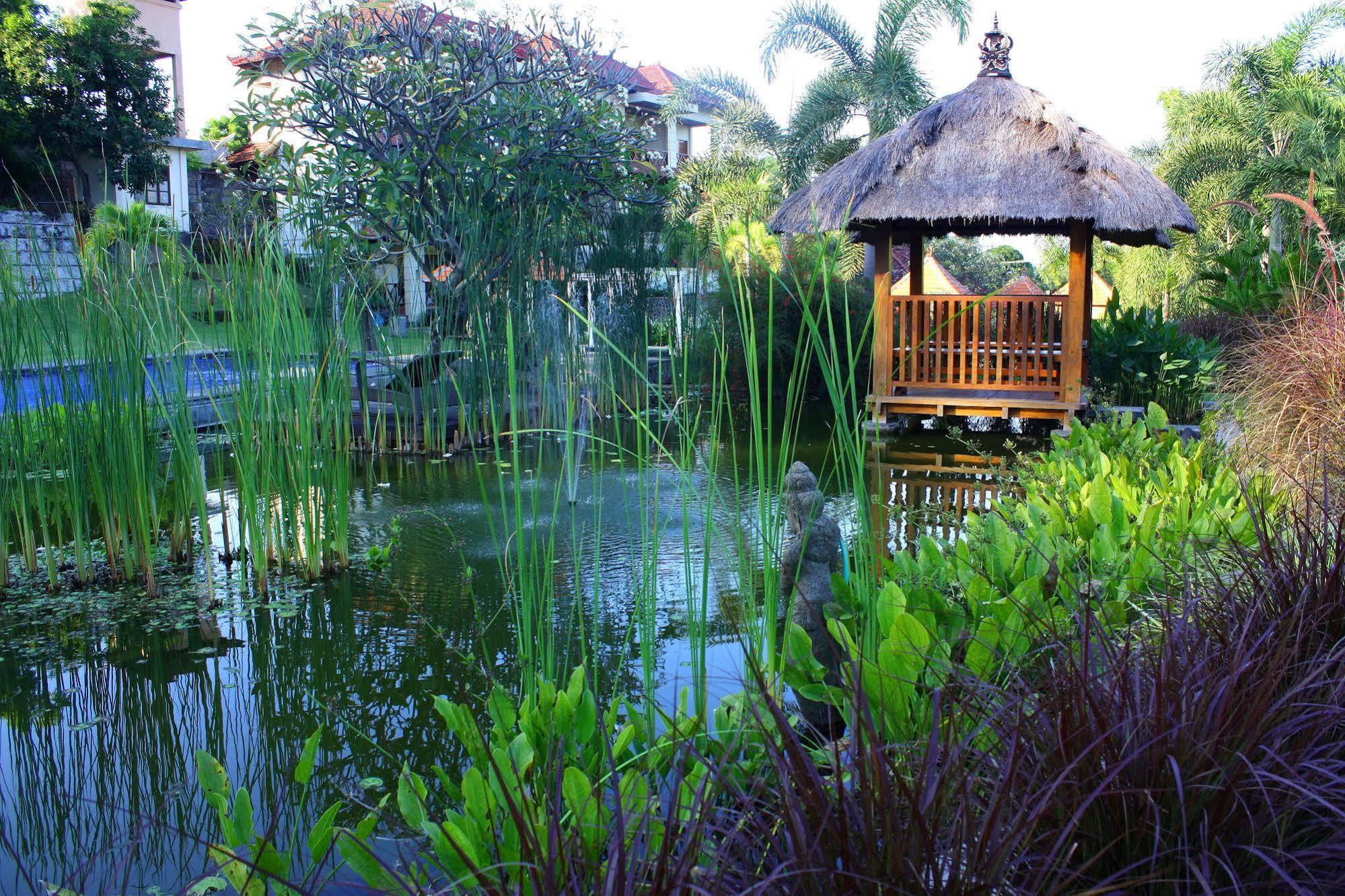 Hotel Bluehill Dive