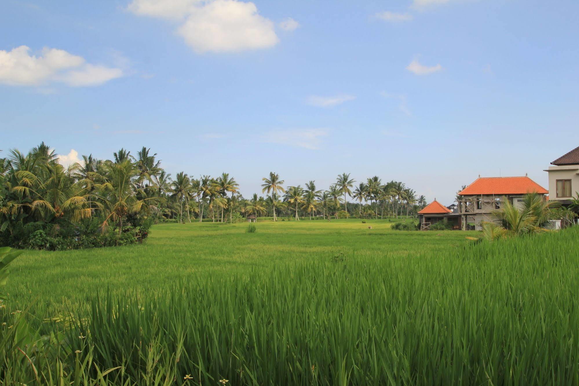 Bakung And Ubud (Bali)
