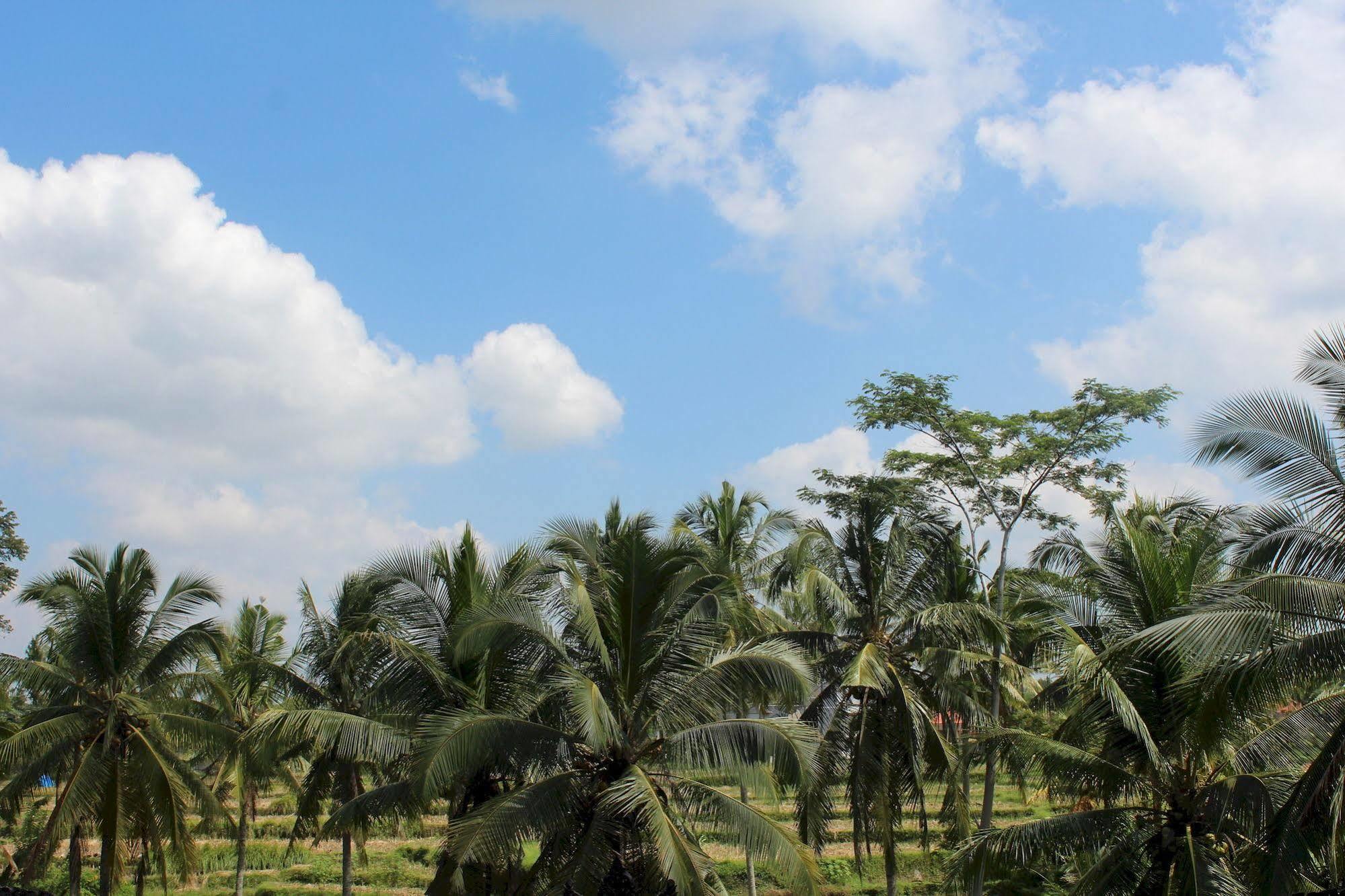 Uma Kama Villa Ubud (Bali)