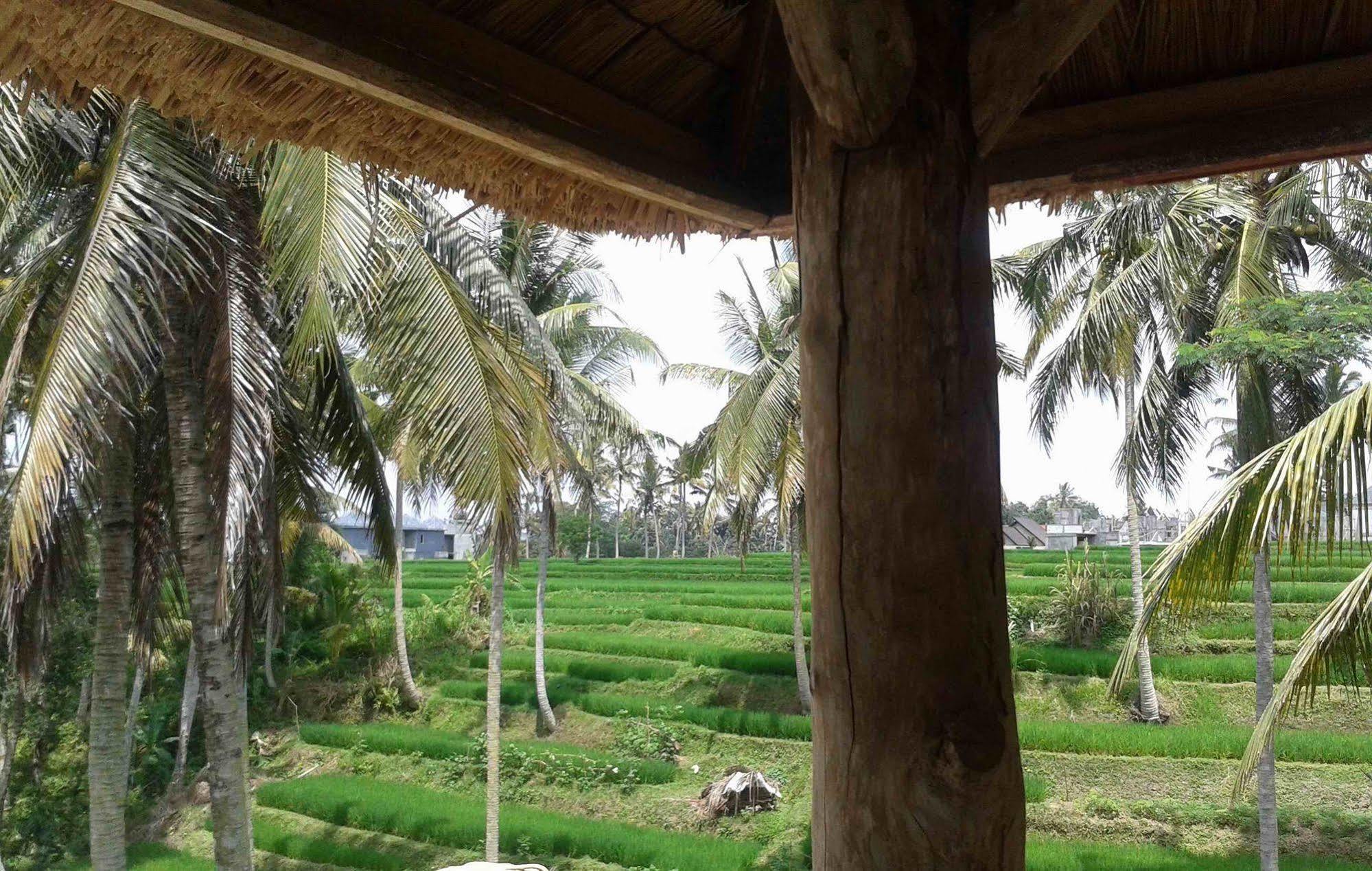 Uma Kama Villa