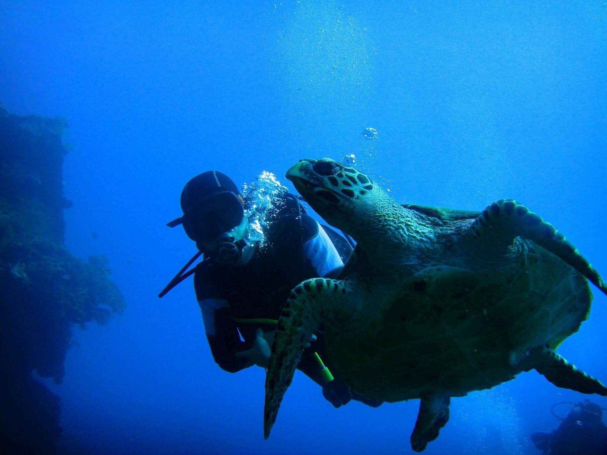 Arya And Dive Center Resort Amed (Bali)