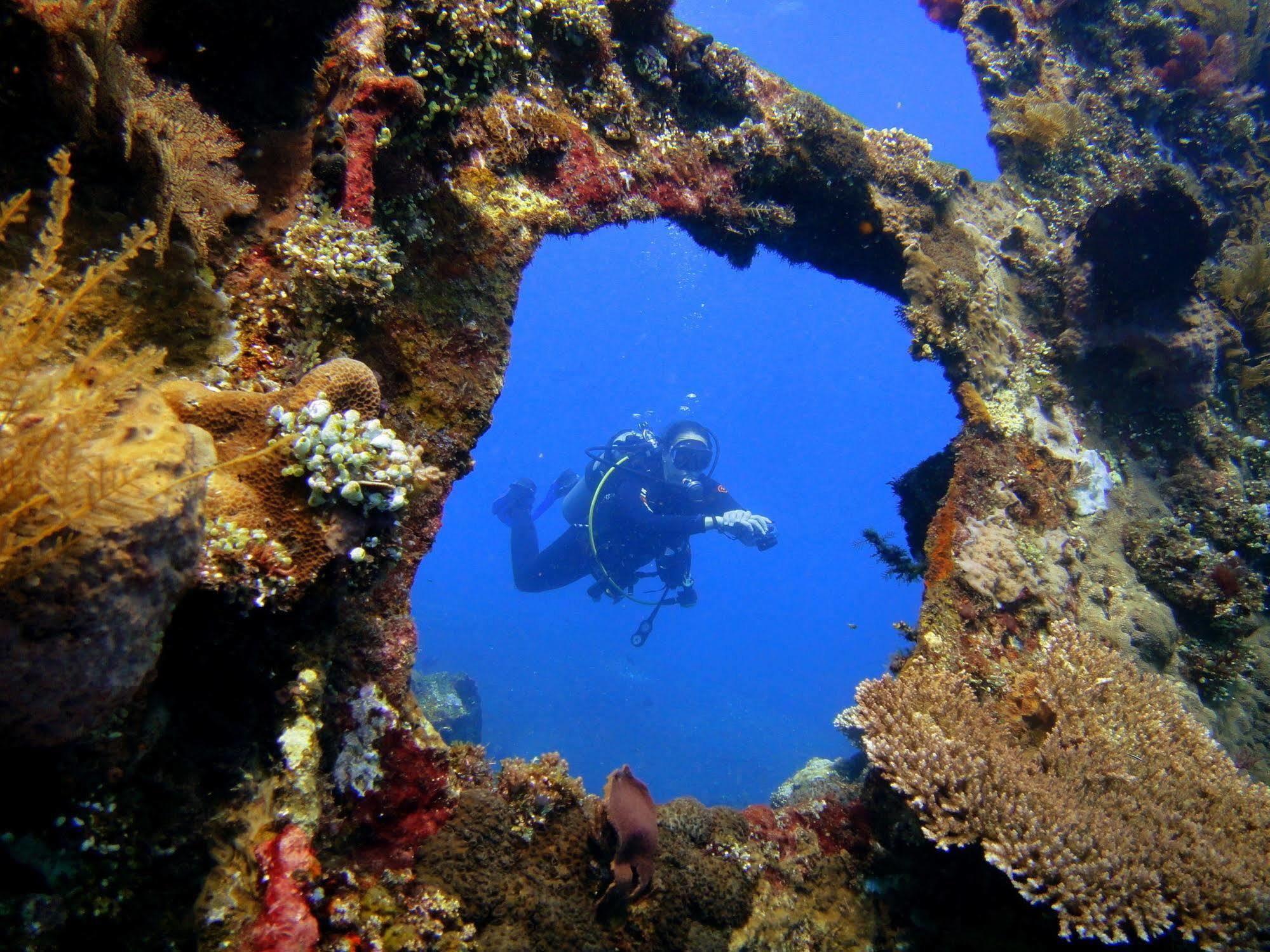 Arya And Dive Center