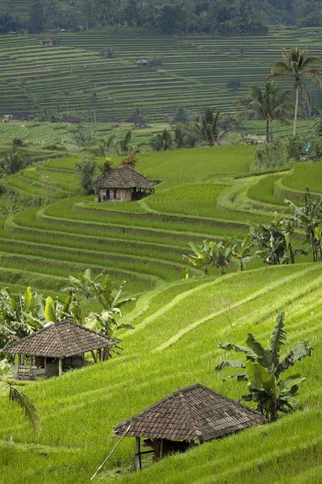 Holiday park Cempaka Belimbing 4*