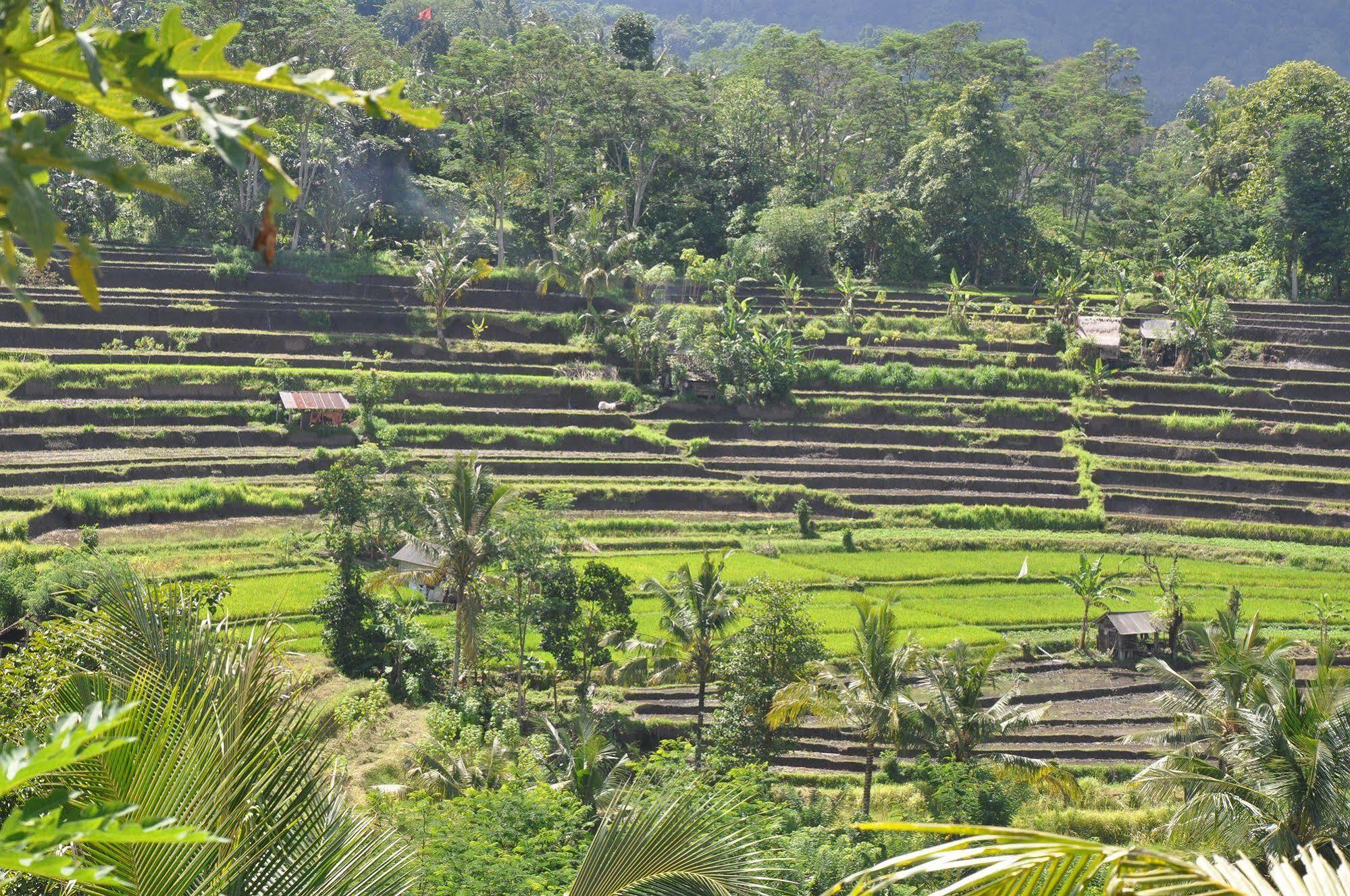 Guest house Uma Agung