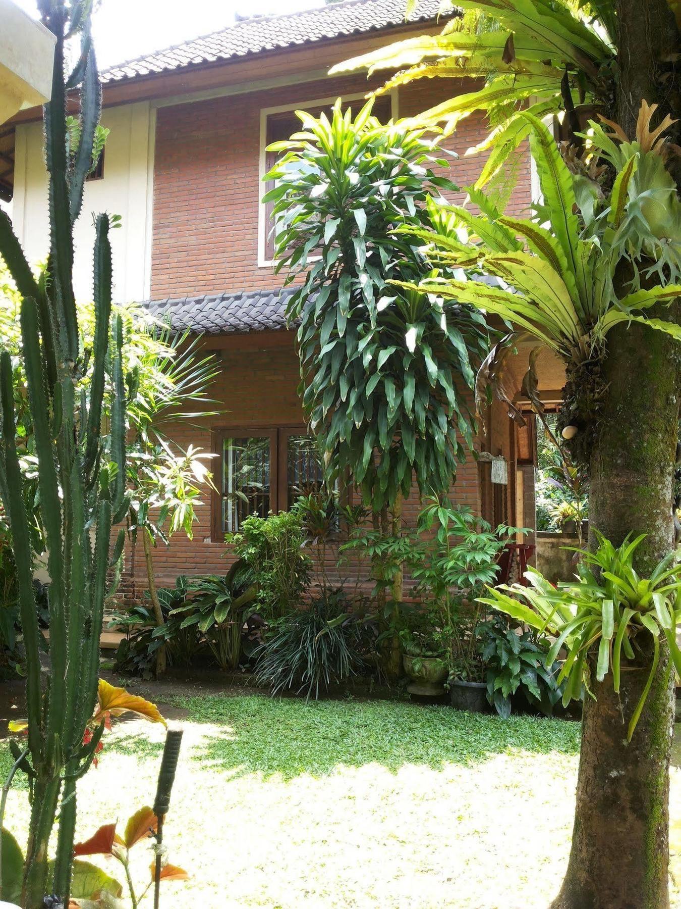 Ben's Ubud (Bali)