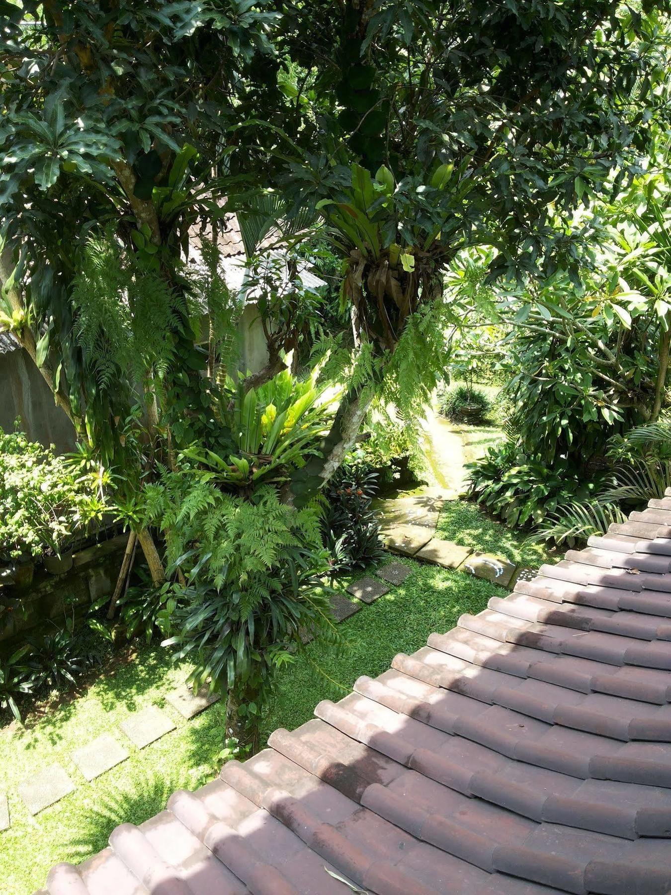 Homestay Ben's *