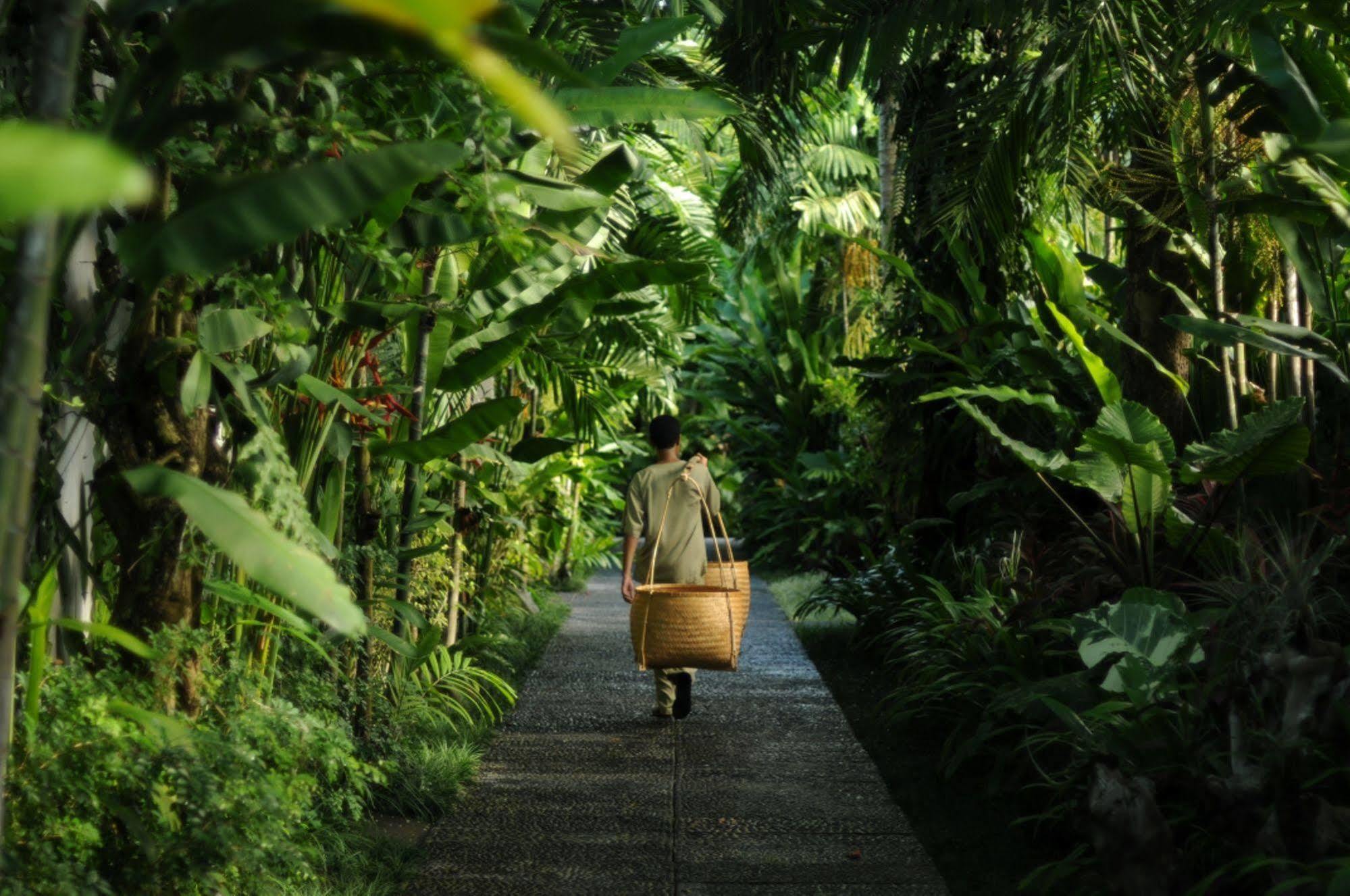 Awarta Nusa Dua Luxury & Bali Nusa Dua (Bali)