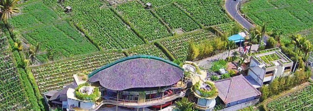 Floating Leaf Eco-luxury Retreat Hotel