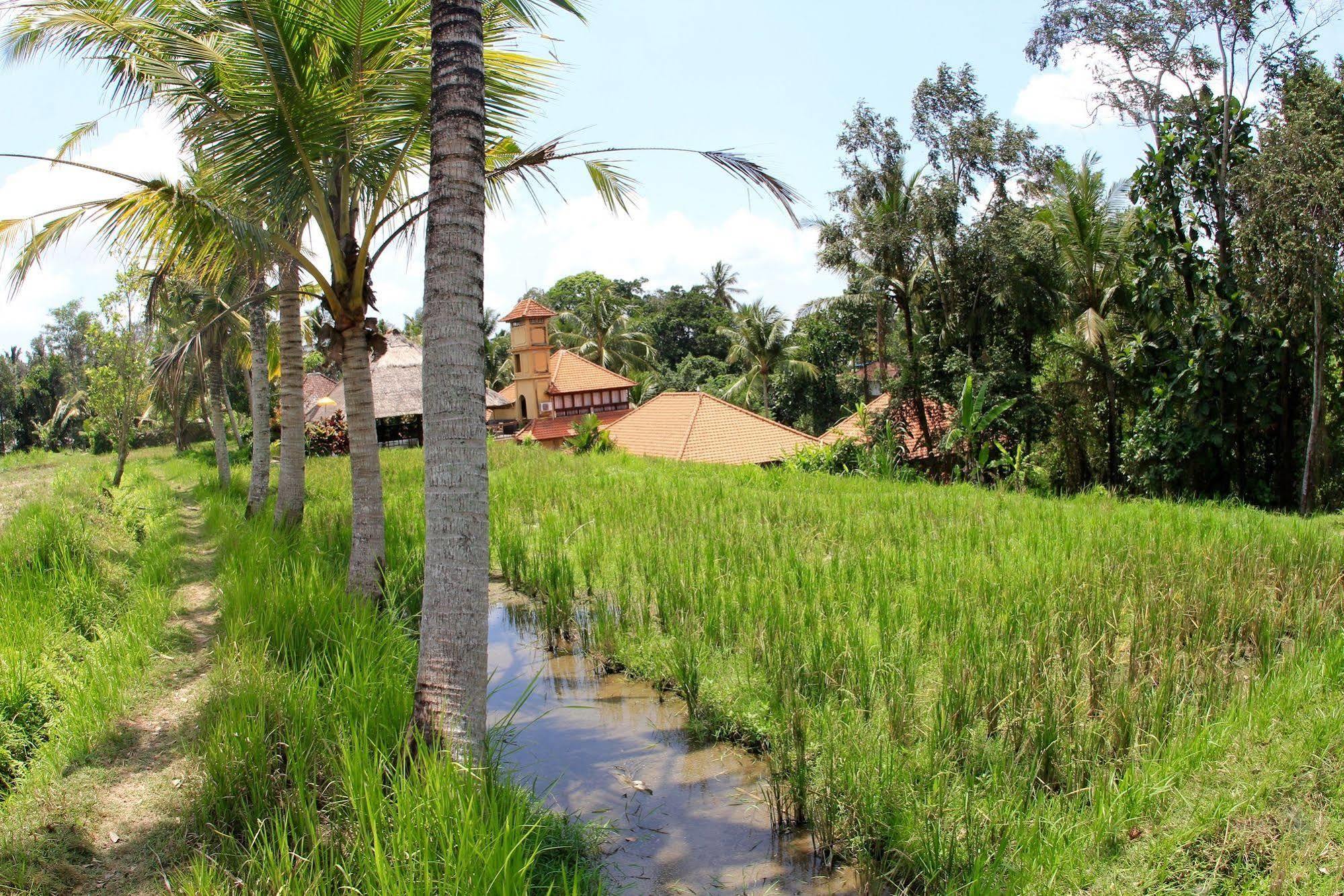 Hotel Villa Ubud