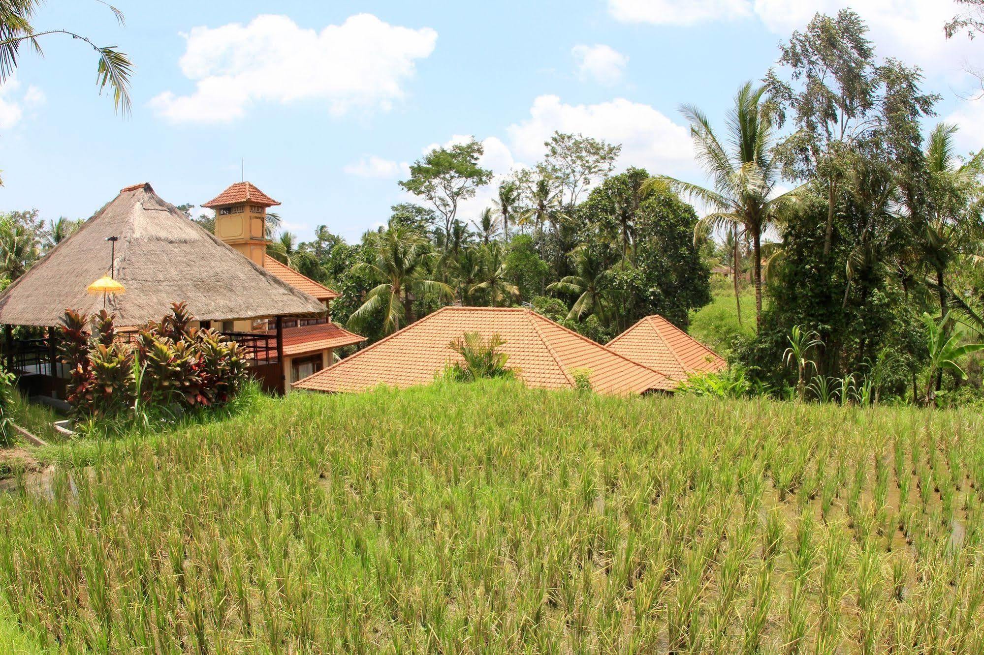 Resort Hotel Villa Ubud