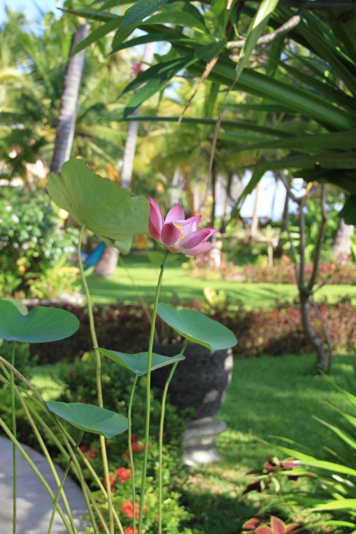Taman liburan Felicianas 4*