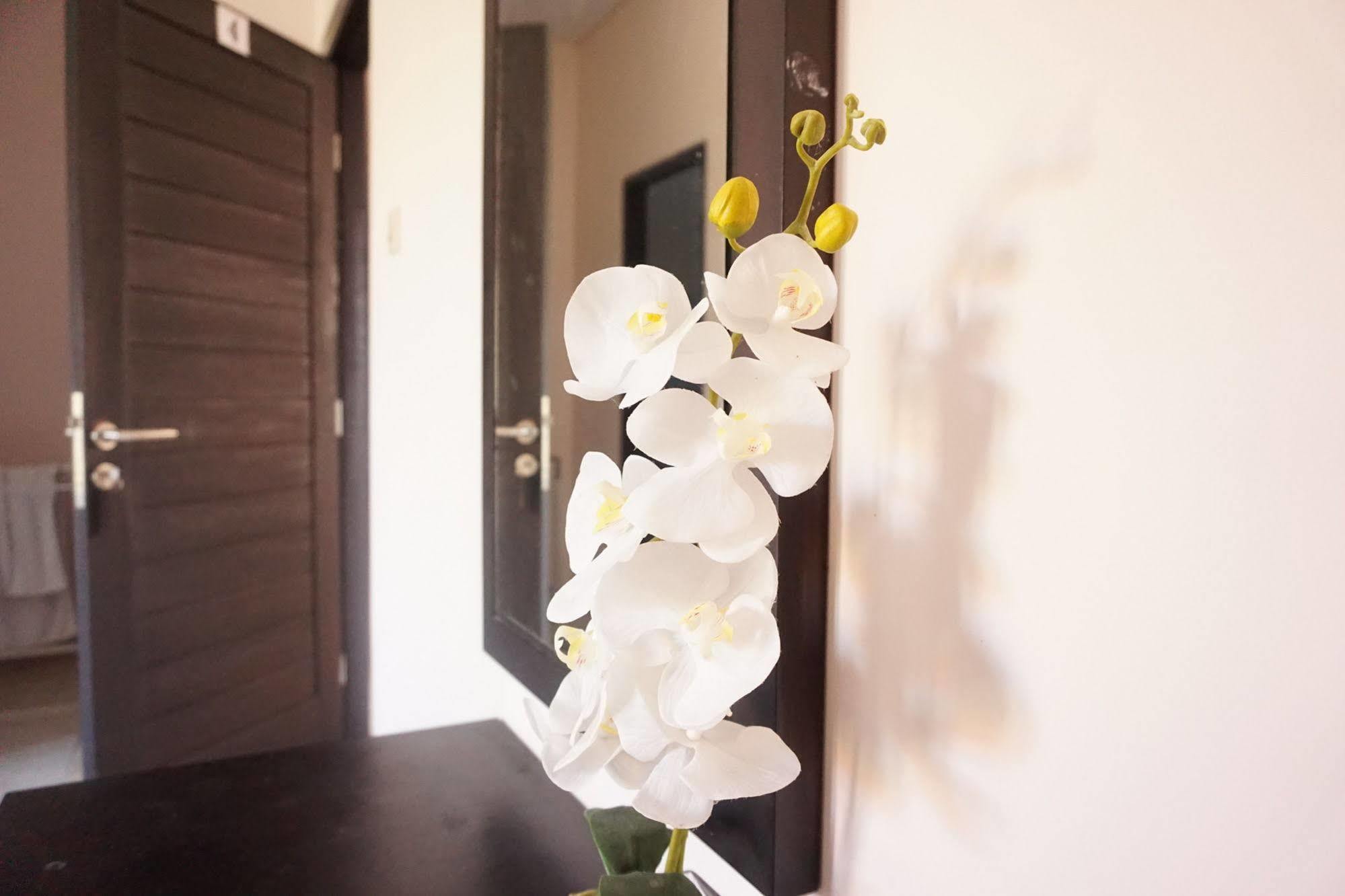 Homestay Cameng Denpasar (Bali)