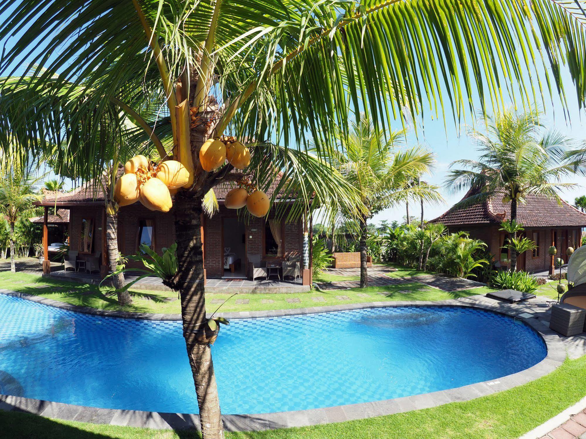 Arton & Club Resort