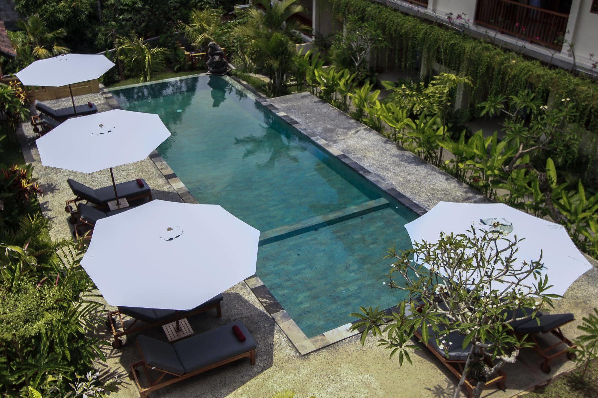 Guest house Jati