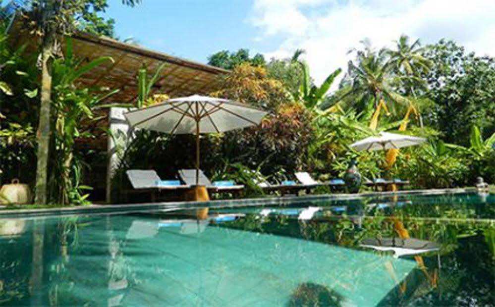 Cili Emas Oceanside