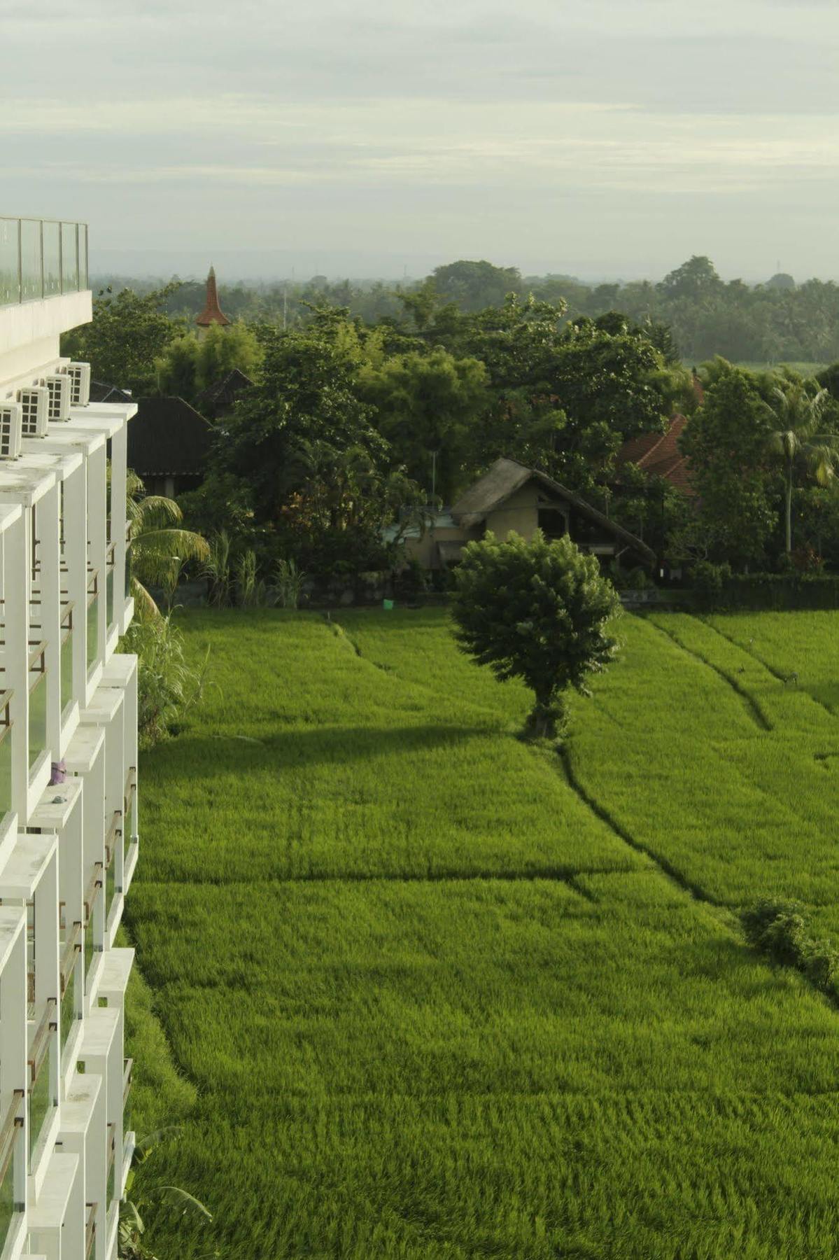 The Evitel Resort Ubud (Bali)