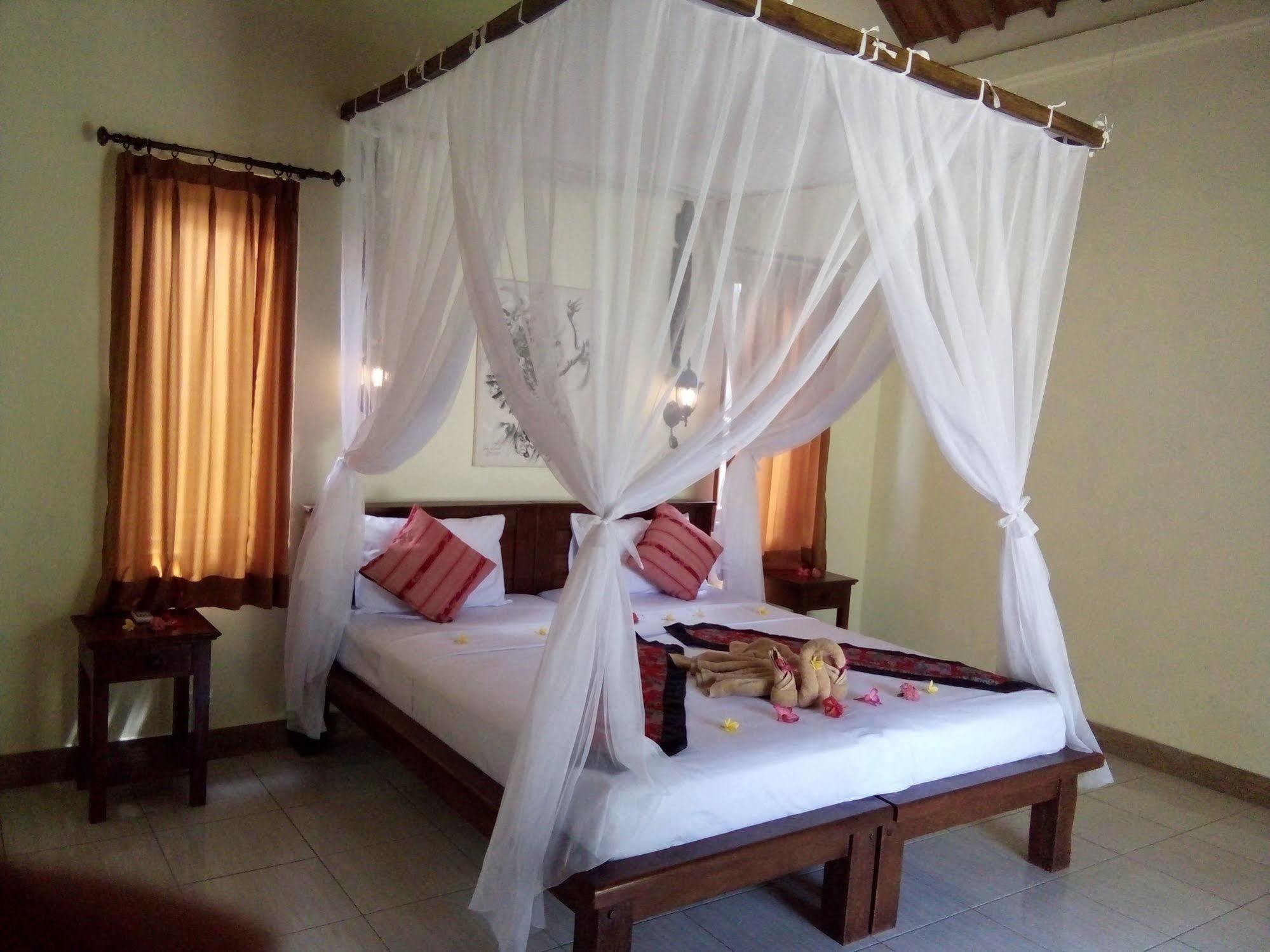 Homestay Biorock & Dive Center