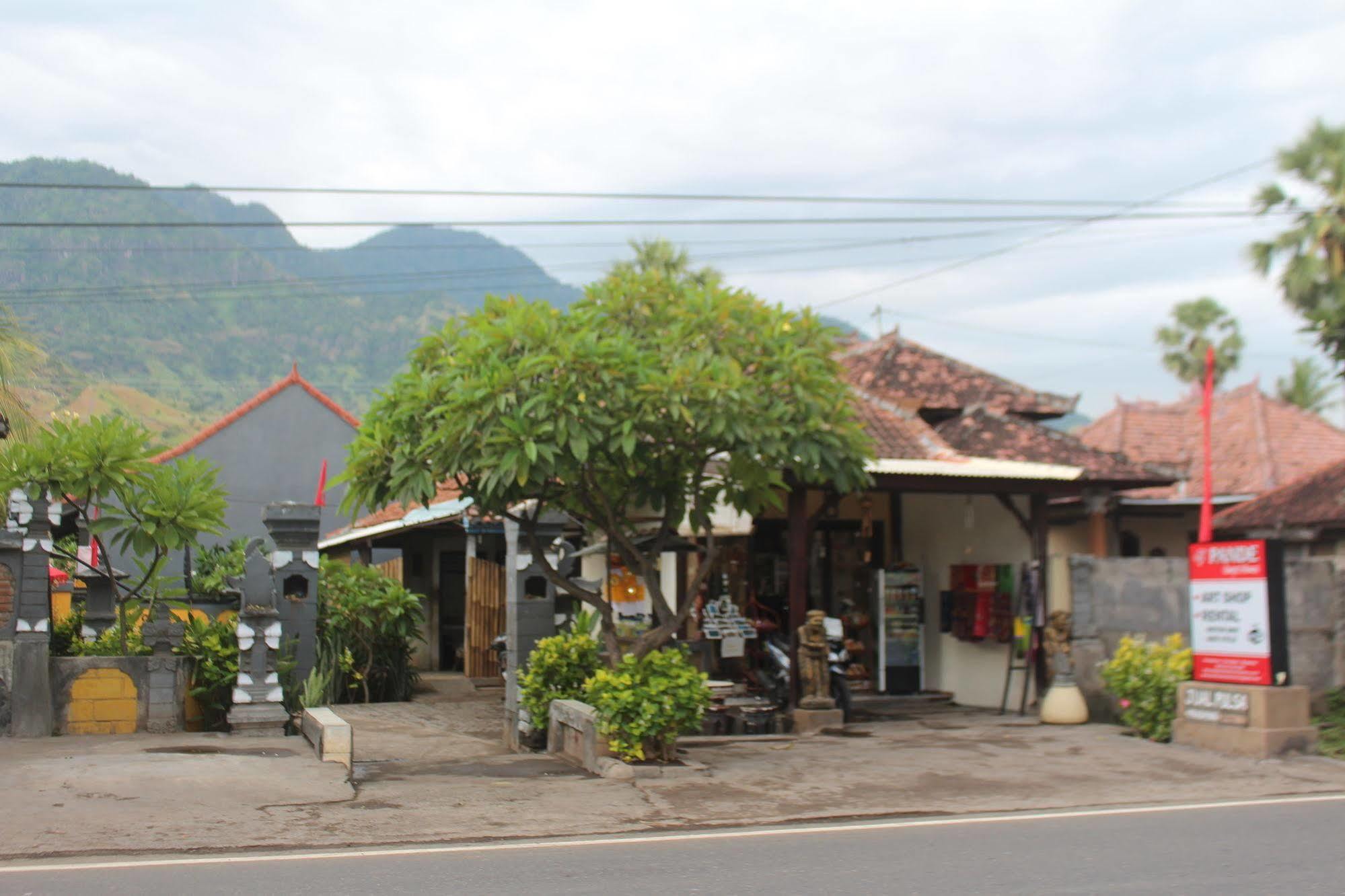 Pande Guest house 3*