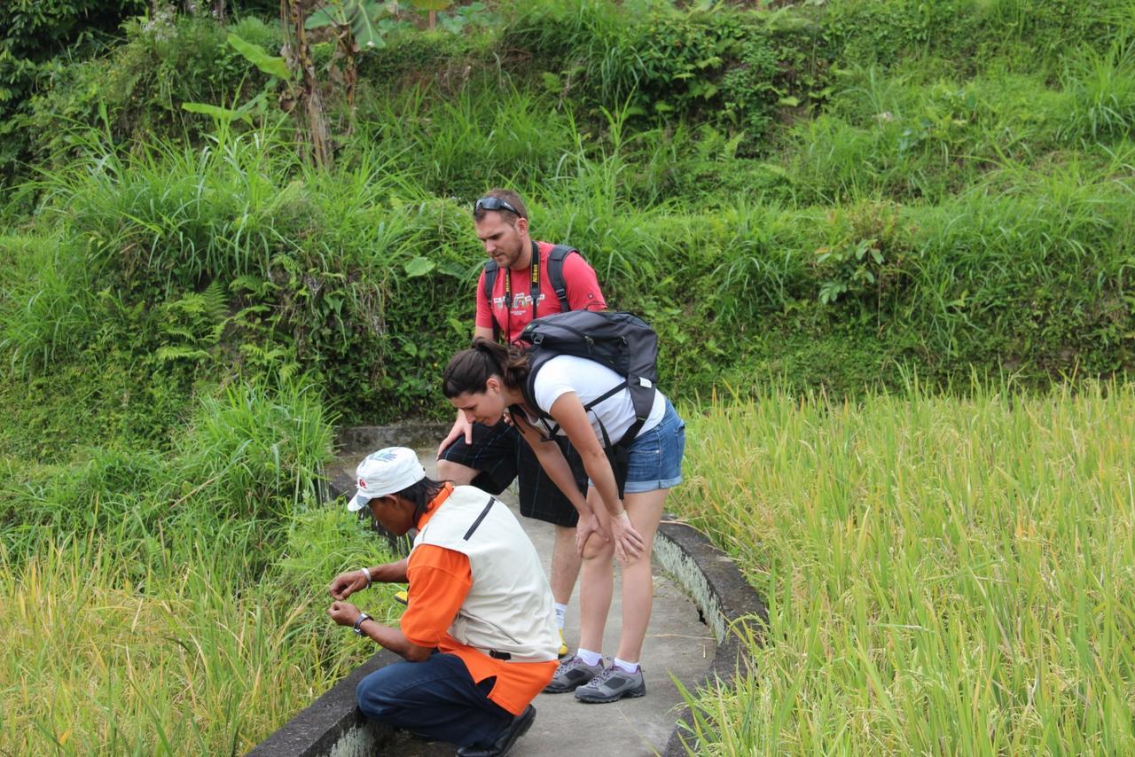 De Umah Bali Eco Tradi Bangli