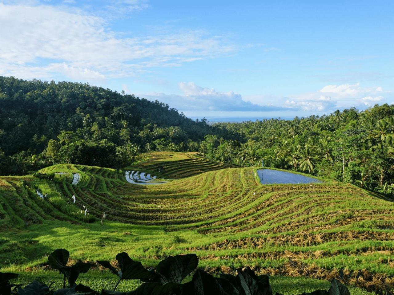 Clove Tree Hill Resort 4*