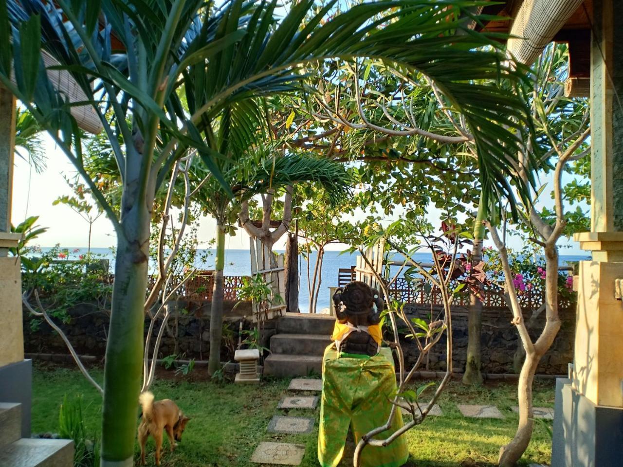 Solaluna Guest house 2*