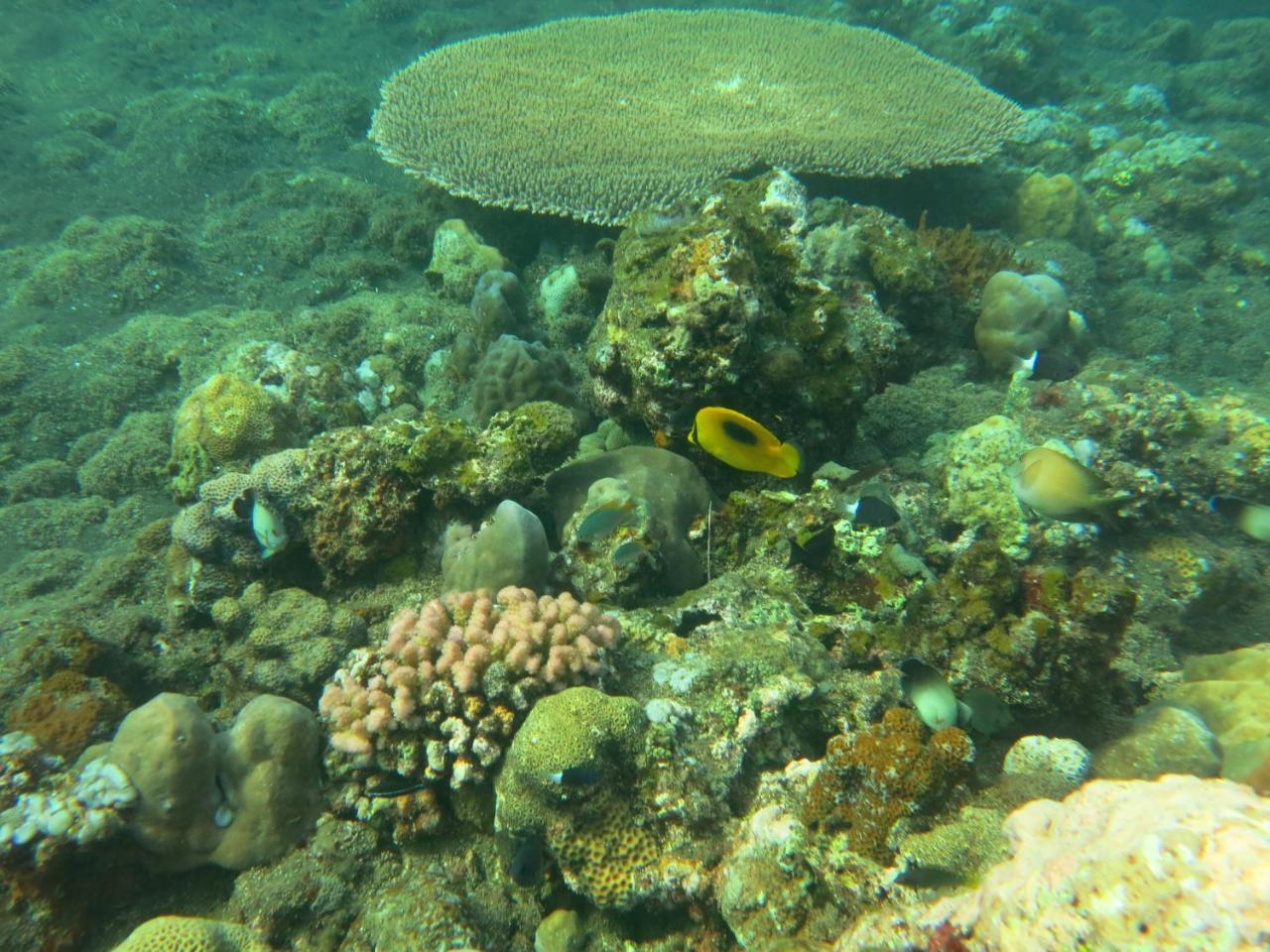Selina Resort