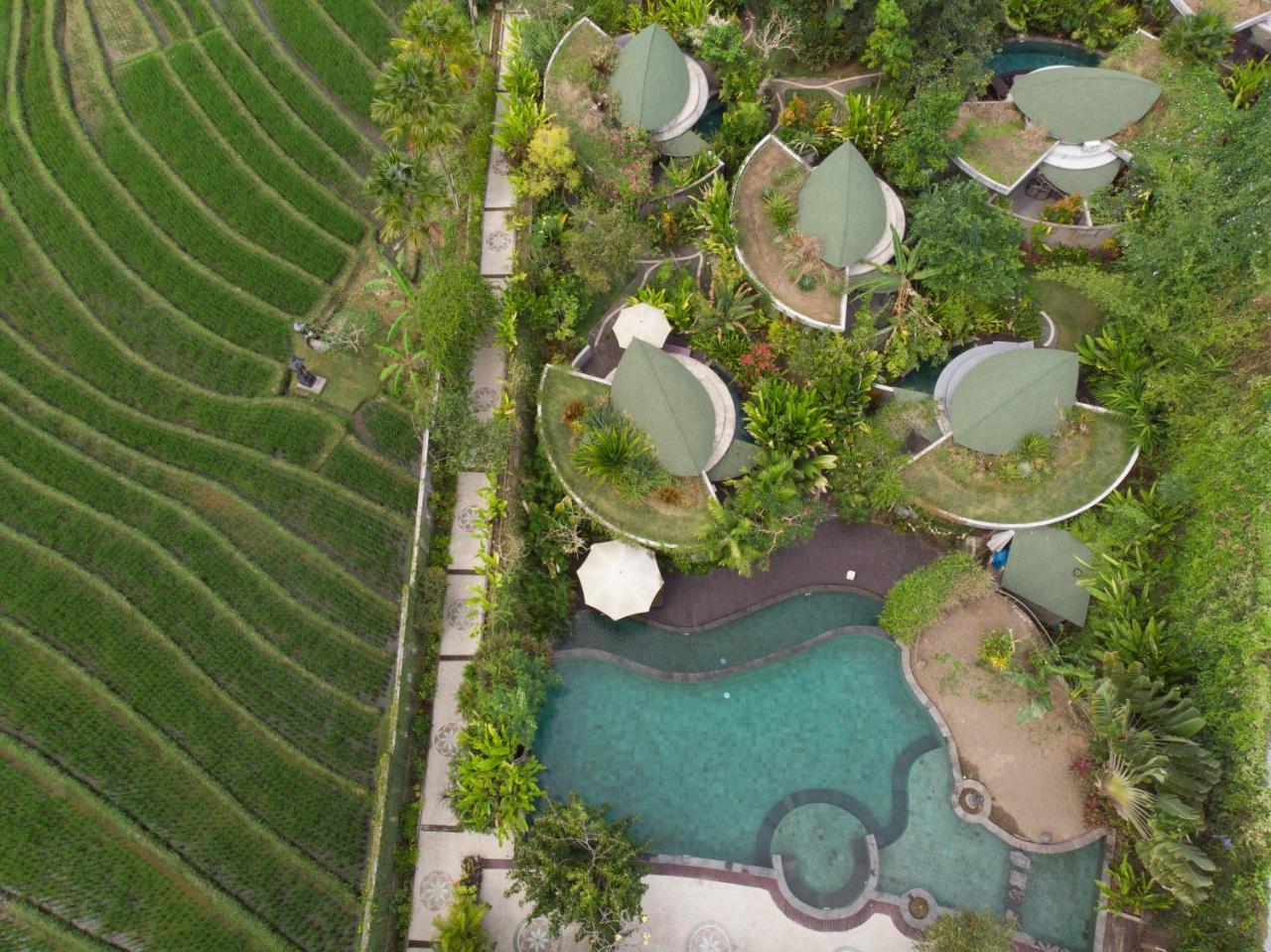 De Moksha Eco Friendly Boutique Resort