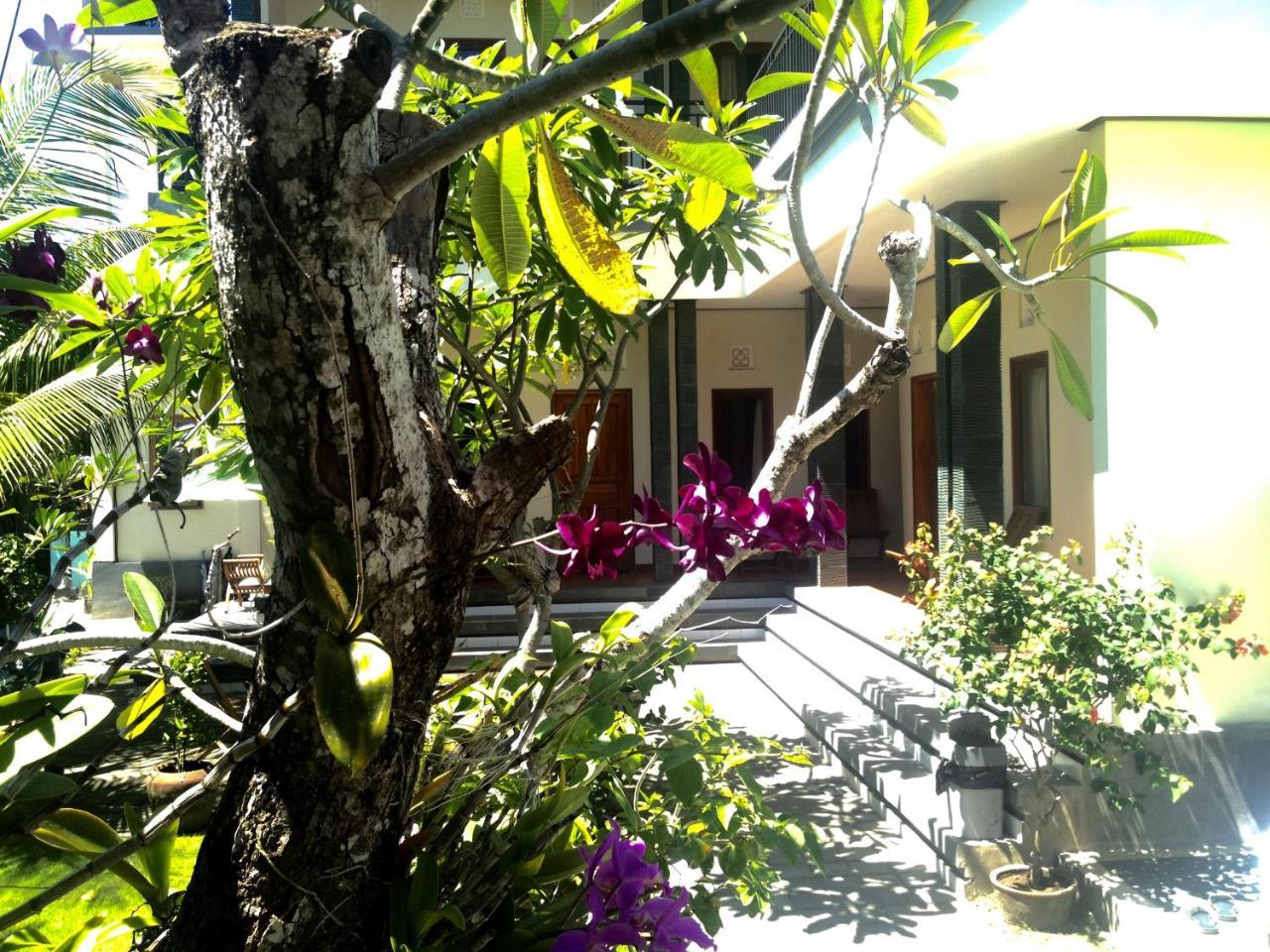 Homestay Puri Clinton Bali *