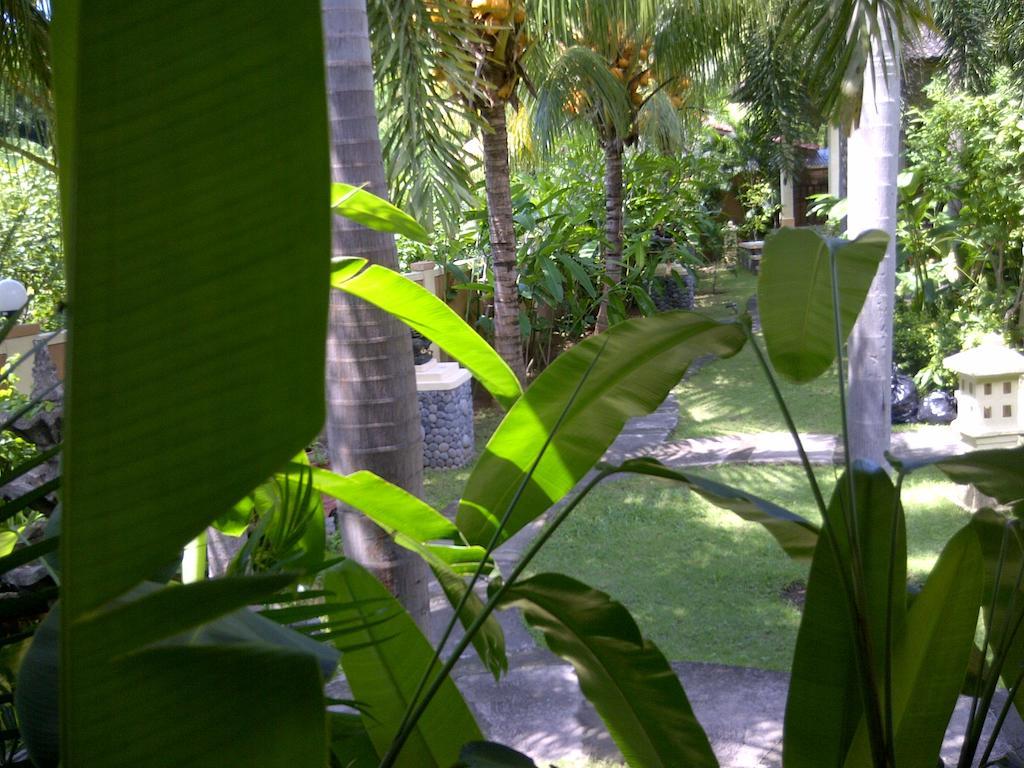 Pazzo Bali