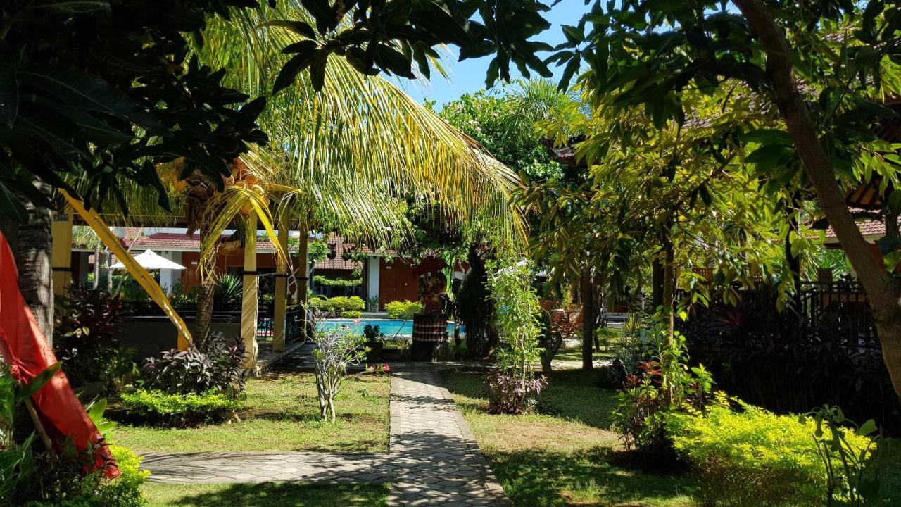 Guest house My Lovina (Bali)
