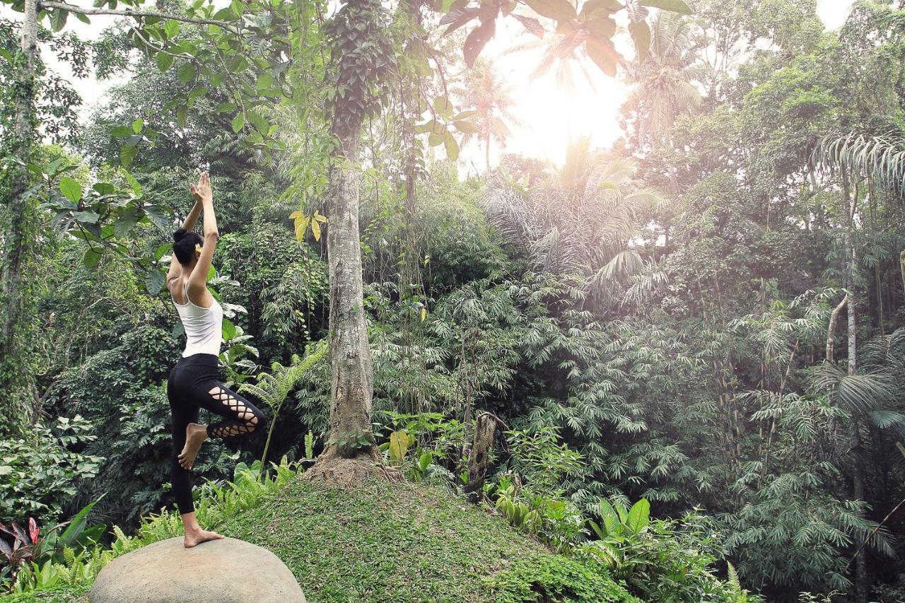 Resor The Sankara And By Pramana Ubud (Bali)
