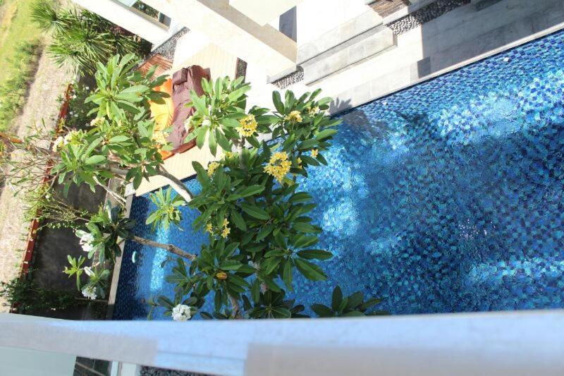 Echo Canggu (Bali)
