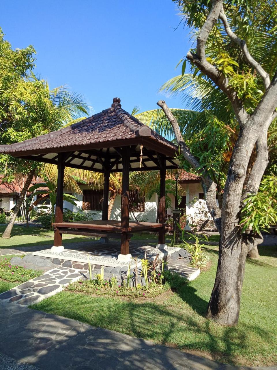 Rini 3* Lovina (Bali)