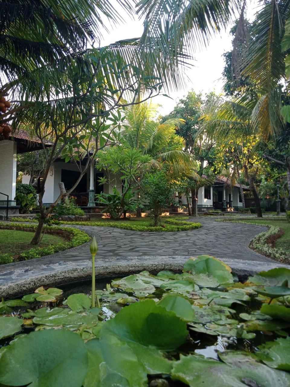Rini 3* Lovina (Bali)