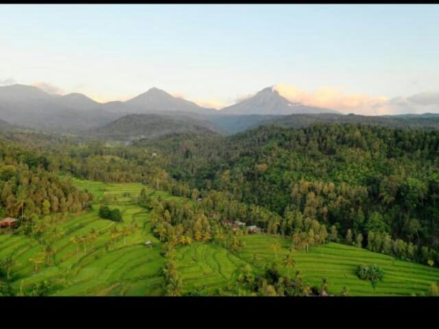 Yoga Munduk (Bali)