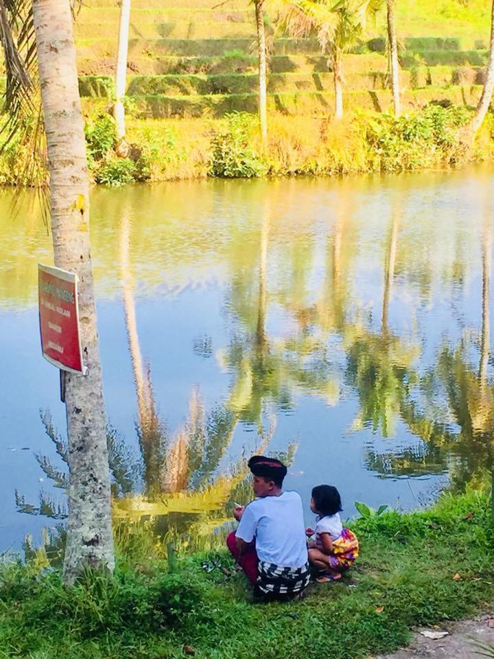 Alam Taman Tabanan (Bali)