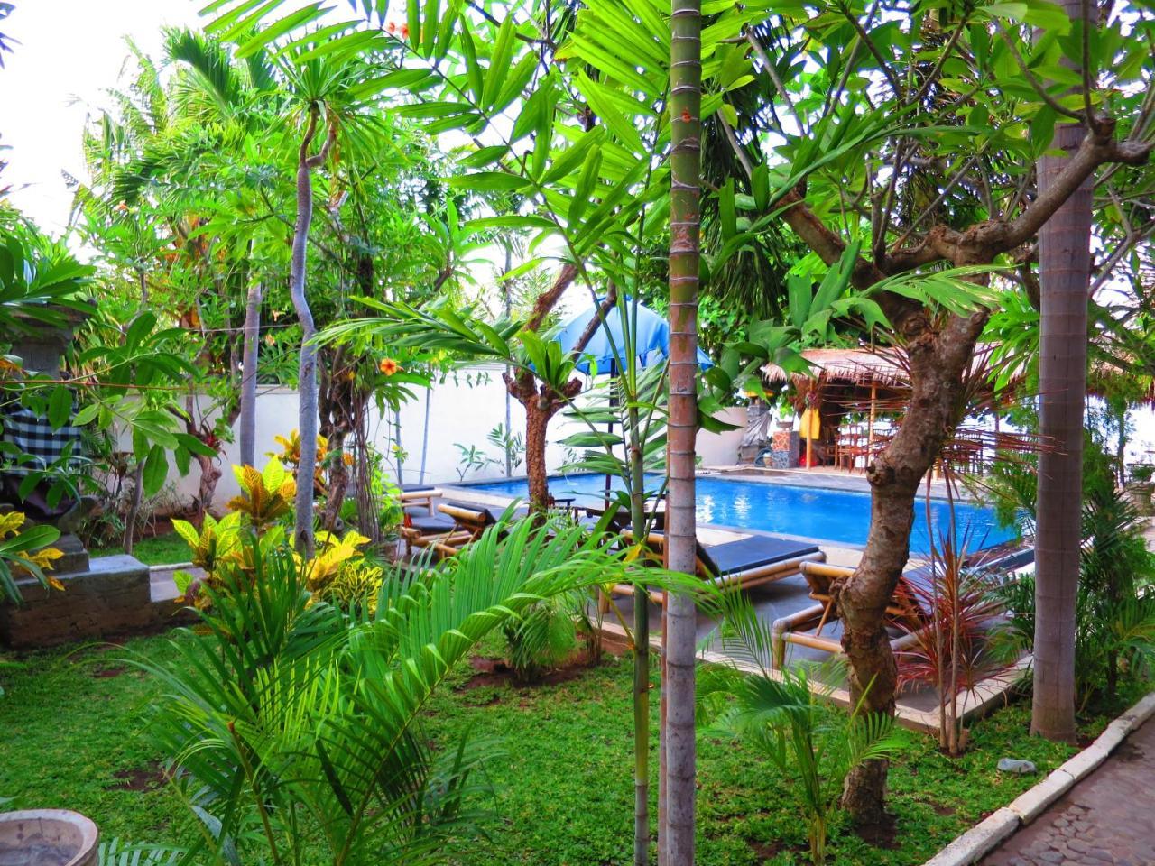 Rising Star Holiday park Amed (Bali)