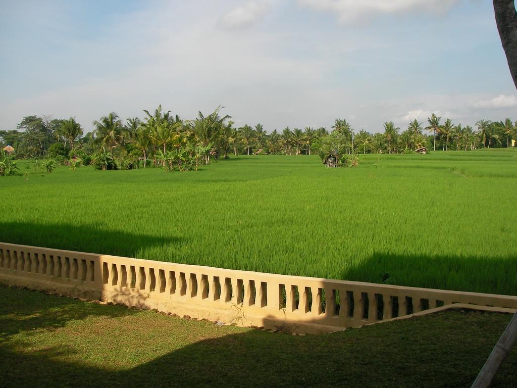 Hotel Field And Restaurant Ubud (Bali)