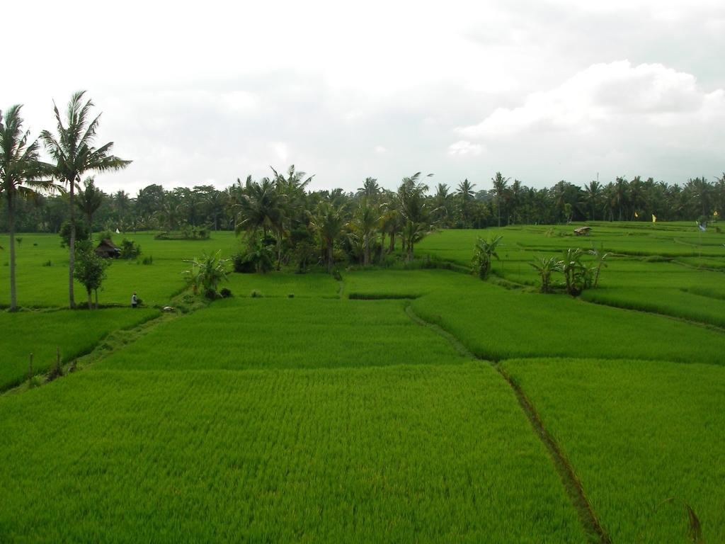 Field And Restaurant Hotel 3*
