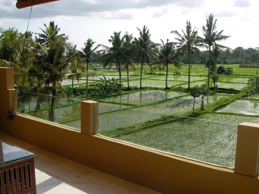 Field And Restaurant 3* Ubud (Bali)