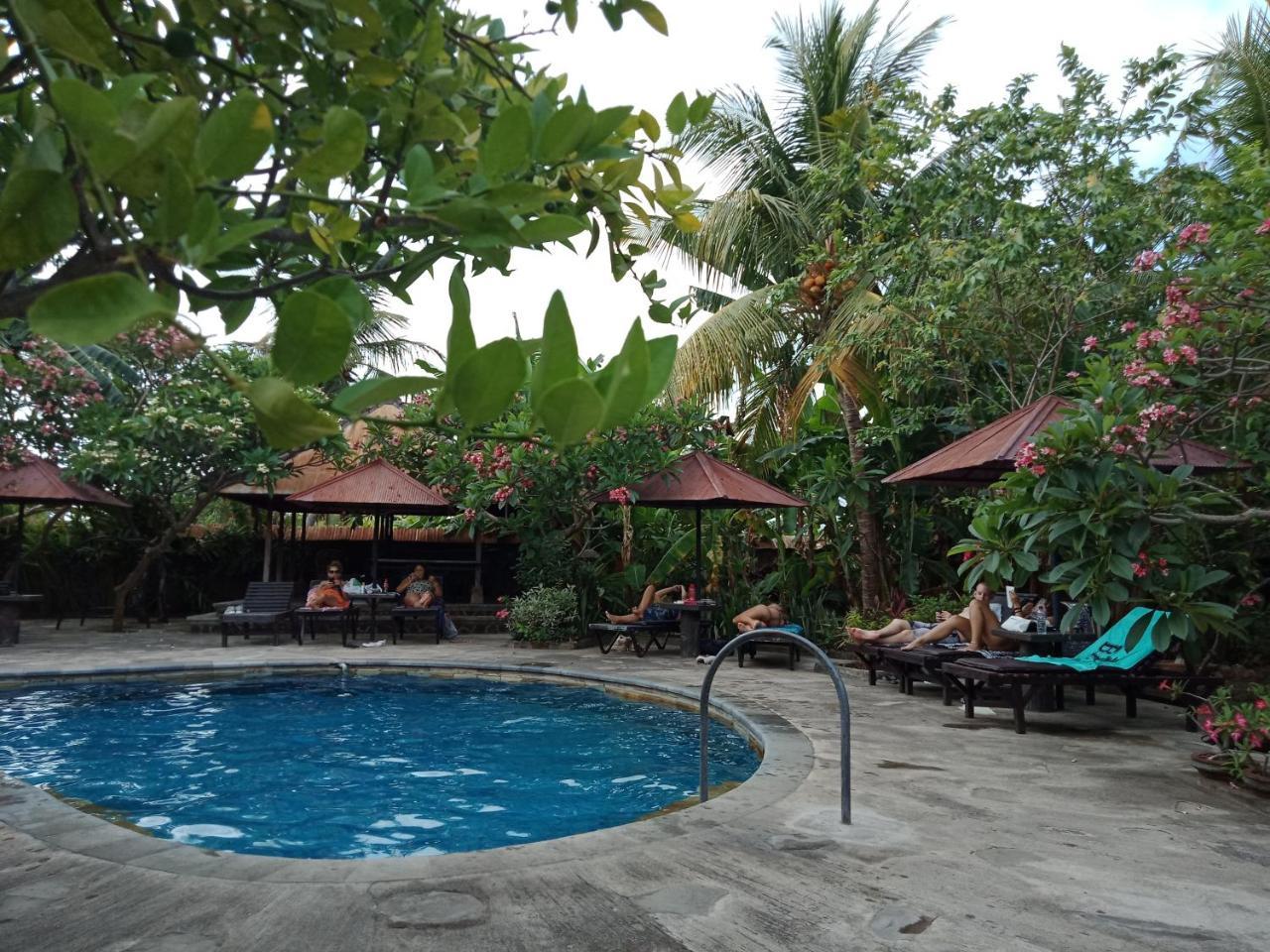 Rini Hotel Lovina (Bali)