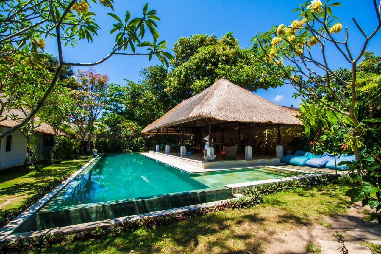 Asrama Blind Dog Sanur (Bali)