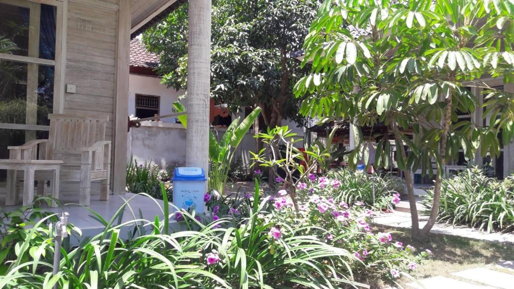 Guest house Vista Huts Nusa Lembongan (Bali)