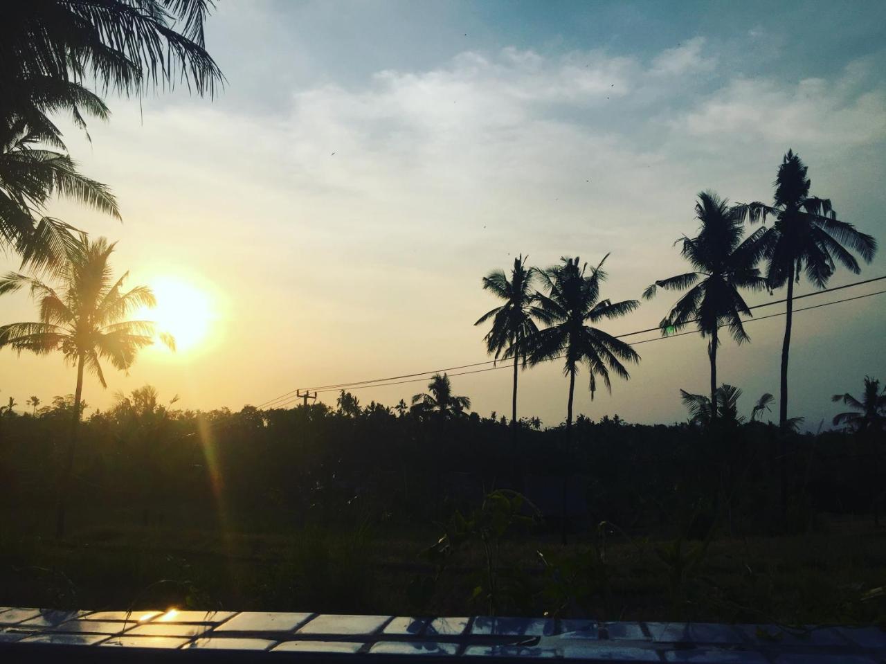 Lafyu Bali Singaraja (Bali)