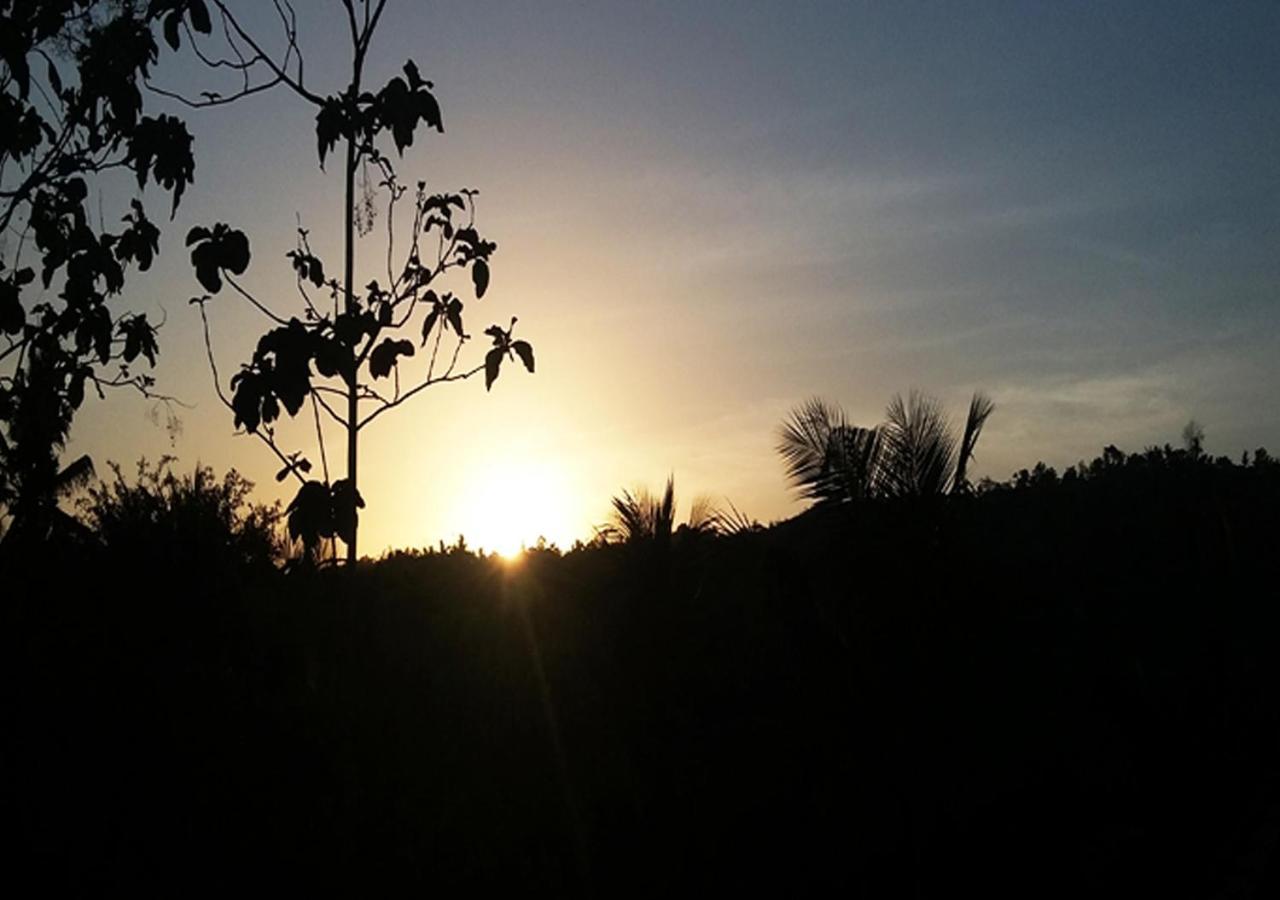 Sebrang Hills Penginapan