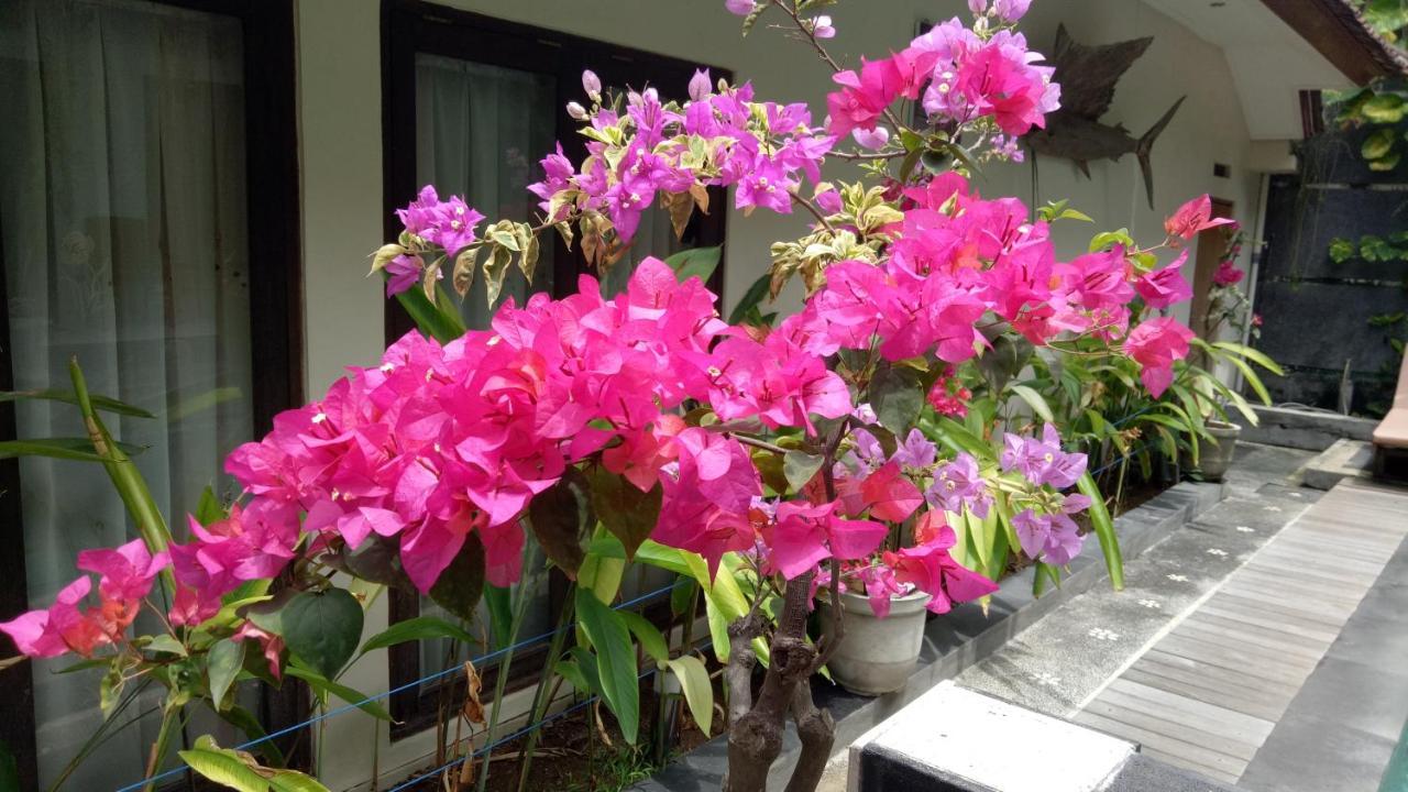 Homestay Pujihouse One *