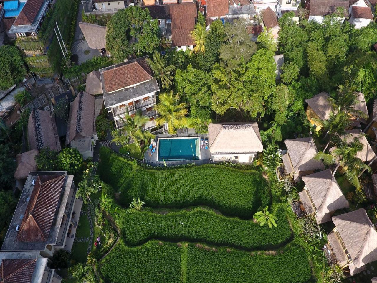 Biyukukung & Hotel Ubud (Bali)
