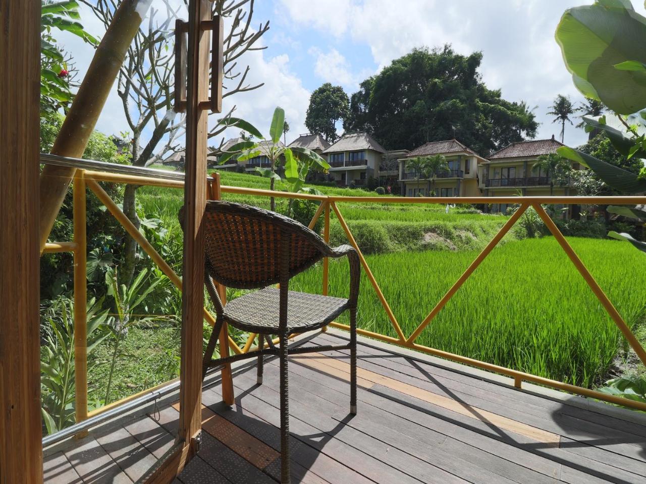 Biyukukung & Hotel Ubud (Bali)