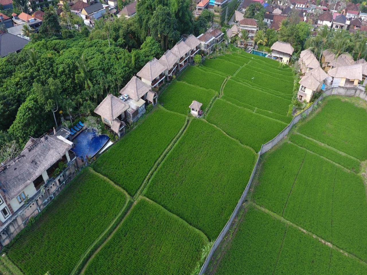 Biyukukung & 4* Ubud (Bali)