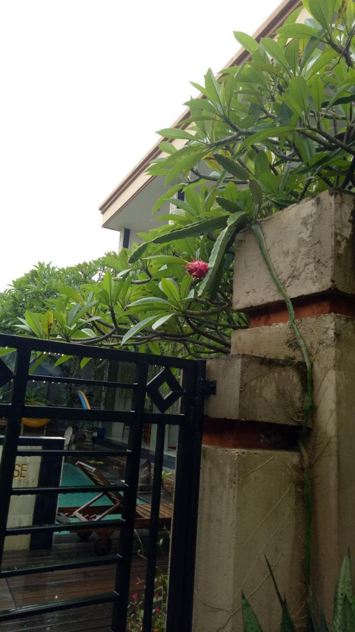 Homestay Pujihouse One